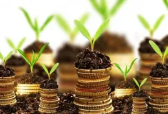 Інвестиції для АПК допоможе зібрати земля