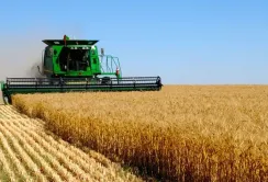 Господарства НААН демонструють рекордну врожайність зернових