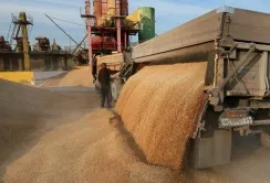 Вагові обмеження для зерновозів не дадуть очікуваного ефекту