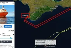 З Криму вивезли ще 27,5 тис. тонн вкраденого в Україні зерна