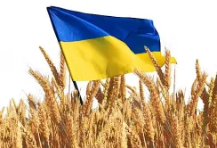 В рамках Grain from Ukraine з портів Одеси відправлено 160 тис. тонн агропродукції