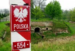 Польща відгородиться від чумних кабанів з України парканом