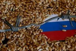Латвія розглядає можливість заборони імпорту російського та білоруського зерна в ЄС