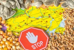 МЗС розкритикувало наміри п’яти країн ЄС продовжити заборону імпорту українського зерна