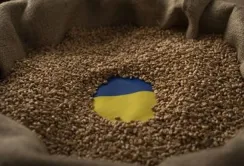 Угорщина хоче, щоб ЄС продовжив заборону на імпорт українського зерна після 15 вересня