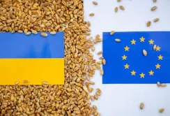 Аграрний комітет Європарламенту вважає, що потрібно посилити захист від української агропродукції