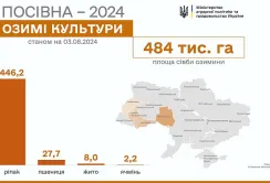 Осіння посівна-2024: дві області закінчили сіяти озимий ріпак