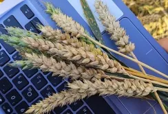 Закон про аграрні ноти запрацює з наступного року