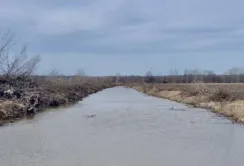 Як Закон про ОВК допоміг збільшити врожай картоплі