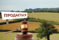 Новий етап реалізації Закону про ринок землі