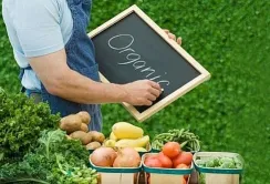 Кабмін схвалив оновлений законопроєкт про органічну продукцію