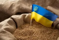 Заміна українського зерна обійдеться імпортерам занадто дорого, – Микола Горбачьов