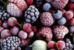 Фермерське господарство завдяки гранту від USAID розширило експорт продукції