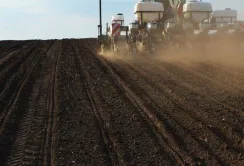 Запаси продуктивної вологи під озимими культурами недостатні, – Укргідрометеоцентр
