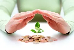 IFC та Фітосанітарна асоціація запускають проект по боротьбі зі шкідниками зернових