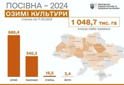 Осіння посівна-2024: вже засіяли понад мільйон гектарів