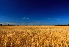 Новий міністр агрополітики окреслив головні завдання агросектору