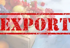 У 2024 році Україна збільшила експорт на 13,4%, – Юлія Свириденко