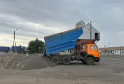 На Донеччині розпочали збирати соняшник