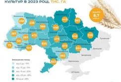 Наступного року валовий збір зерна може скоротитись на 37%