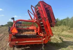Через брак працівників доводиться збирати овочі комбайнами