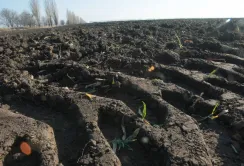 Земельна реформа стане на заваді розвитку інфраструктури?