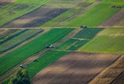 Не на часі – другий етап земельної реформи пропонують відтермінувати