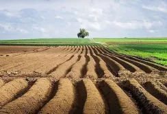 Аграрії закликають підписати петицію, щоб врятувати село