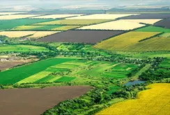 На земельних аукціонах переважають сільськогосподарські землі, –  Сергій Бут