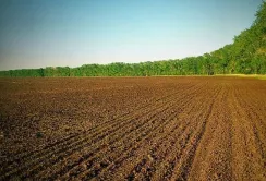 Земельний банк: вторгували ще 15,4 млн грн
