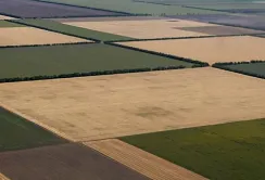Земельний банк: Україна скористається досвідом Польщі