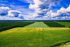 Земельний ринок для юридичних осіб запрацює з 1 січня