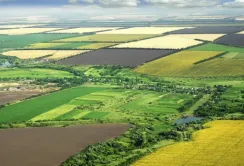 На Київщині держреєстратор вилучила з комунальної власності 23 га землі на користь сільськогосподарського підприємства