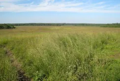 Скільки фермер витрачає на реєстрацію права оренди?