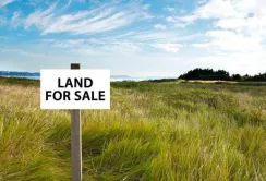 Більшість представників агробізнесу проти купівлі-продажу землі