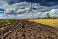 ВРУ введе обмеження на вирощування на одній ділянці конкретної культури