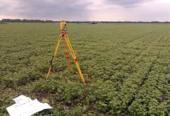 Твердження, що за українською землею стоїть черга, - міф, - Agricom Group