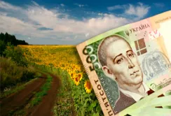 Ризики швидкого зняття мораторію на продаж землі та першорядні завдання