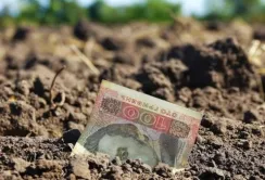 Недбалість екс-начальника Держгеокадастру Івано-Франківщини завдала державі збитків на 5,2 млн грн