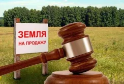 В Житомирській області відбудеться земельний аукціон