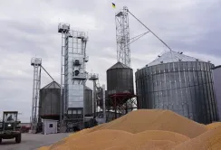 В Запорізькій області росіяни грабували елеватори, примушуючи людей працювати безоплатно