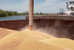 В Україні ще зберігається 10 млн тонн перехідних залишків агропродукції, – Денис Марчук