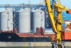 Міжнародні трейдери вперше з початку війни почали купляти зерно в українських портах