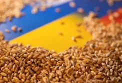 На роботу програми «Зерно з України» вже акумульовали $100 млн