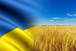 ЄС посилить перевірки перевізників, які вивозять зерно з України, – єврокомісар