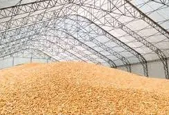 Працівниця зерносховища видала невідомим особам зерна на 1,3 млн грн