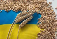 Україна підпише з Польщею нову «зернову угоду»