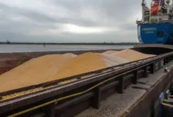 Ердогану не вдалось вмовити путіна продовжити зернову угоду