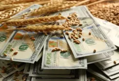 Припинення зернової угоди негативно вплине на курс гривні, – НБУ