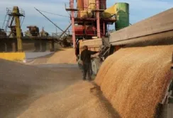 Продукція приватних агрохолдингів піде на експорт першою